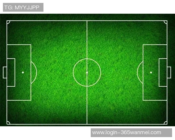 深入探讨足球理论知识的经典书籍推荐与解读